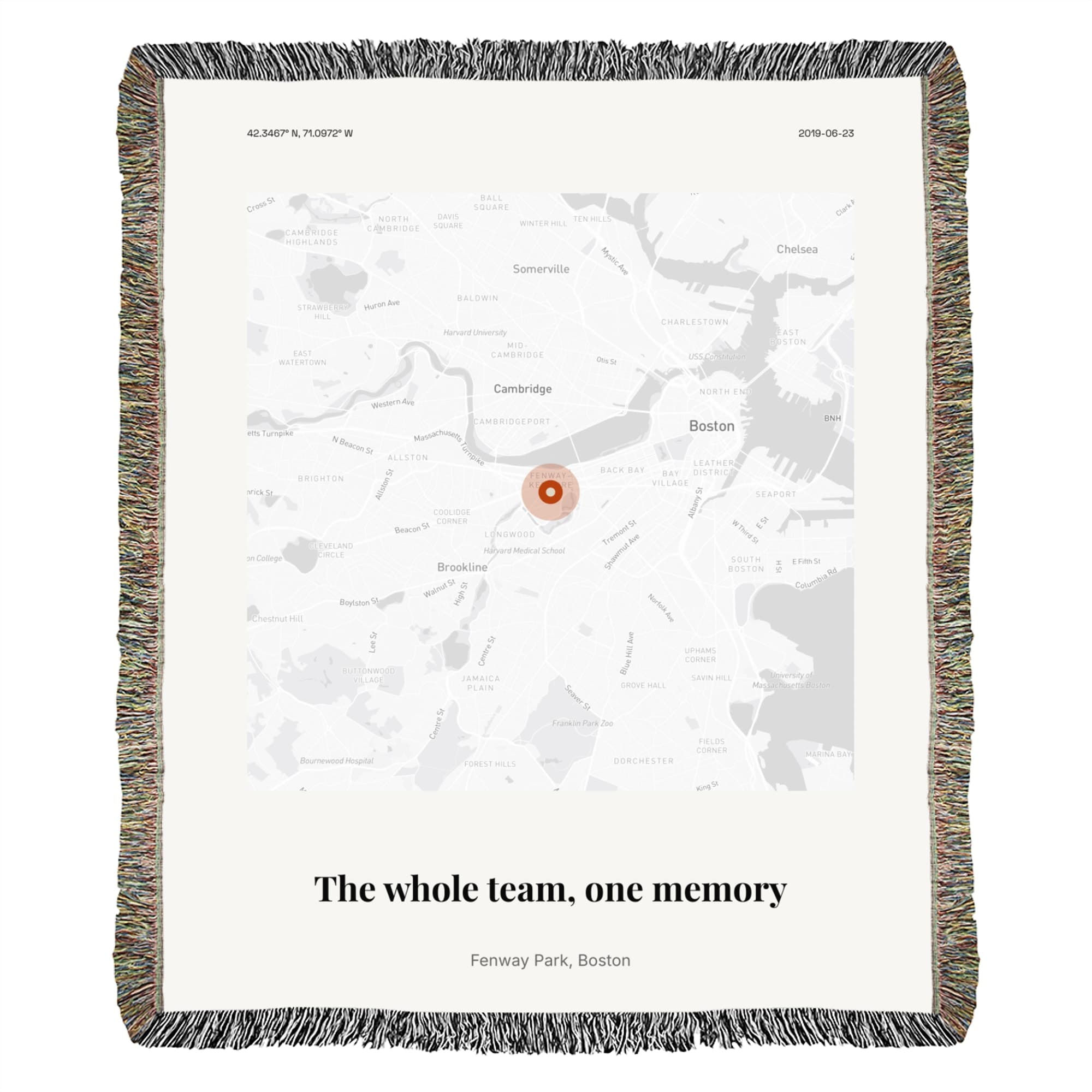 Little League Team Poster on throw